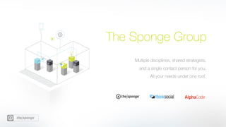 The Sponge Snapshot 14