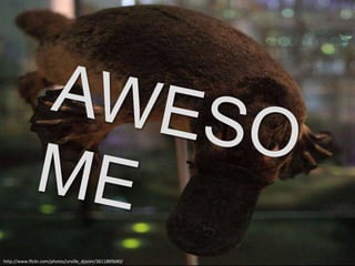 AWESOMEhttp://www.flickr.com/photos/urville_djasim/3611889680/