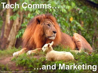  sales & Support feedback