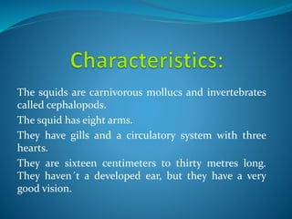 The squids are carnivorous mollucs and invertebrates
called cephalopods.
The squid has eight arms.
They have gills and a circulatory system with three
hearts.
They are sixteen centimeters to thirty metres long.
They haven´t a developed ear, but they have a very
good vision.
 