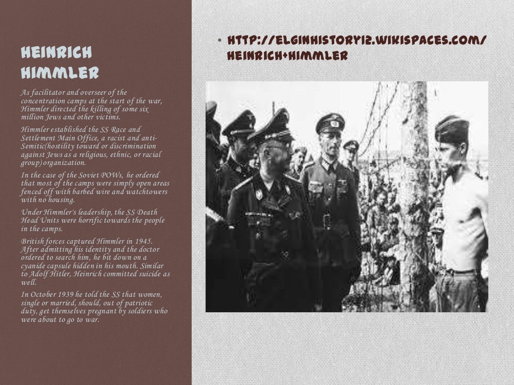 The ss totenkopfverbände (sstv)