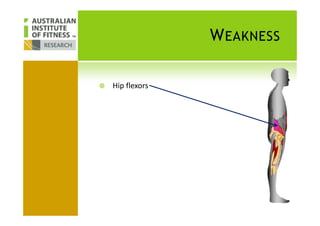 WEAKNESS
Hip flexors
 