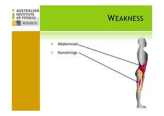 WEAKNESS
Abdominals
Hamstrings
 
