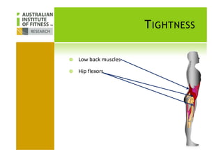 TIGHTNESS
Low back muscles
Hip flexors
 