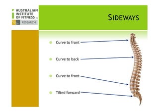 SIDEWAYS
Curve to front
Curve to back
Curve to front
Tilted forward
 