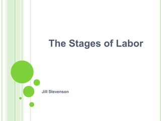 The Stages of Labor



Jill Stevenson
 