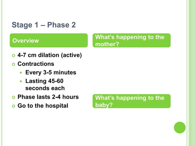 The stages of labor | PPTX