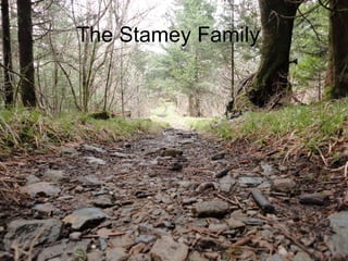 The Stamey Family
 