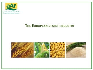 THE EUROPEAN STARCH INDUSTRY
 