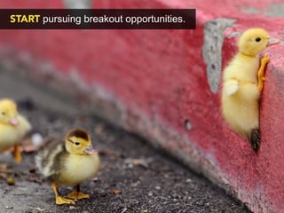 START pursuing breakout opportunities.
 