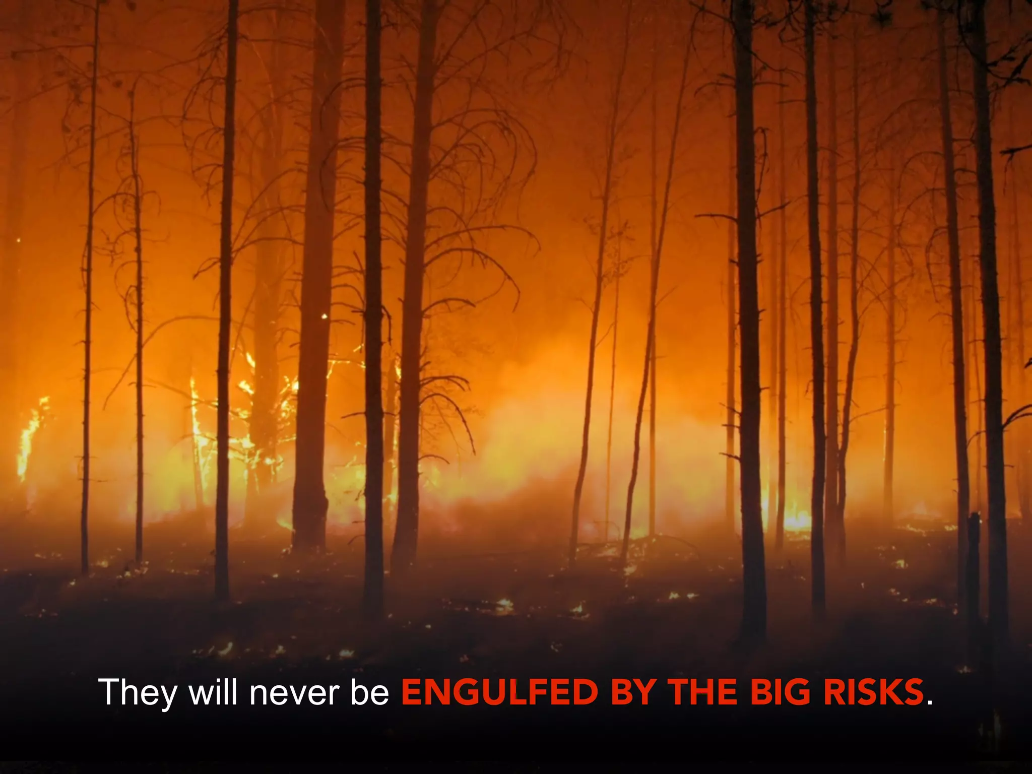 They will never be ENGULFED BY THE BIG RISKS.
 