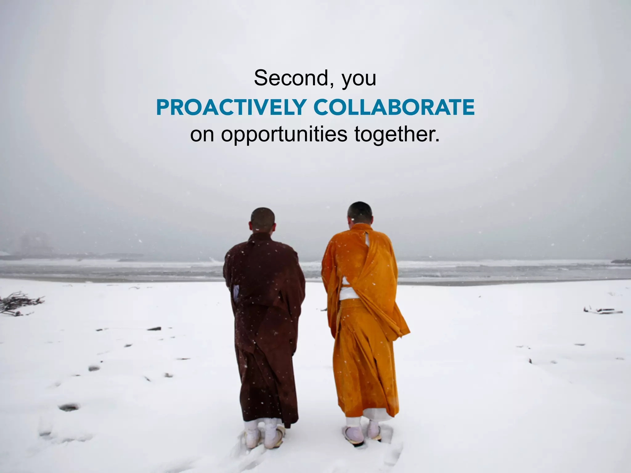 Second, you
PROACTIVELY COLLABORATE
  on opportunities together.
 