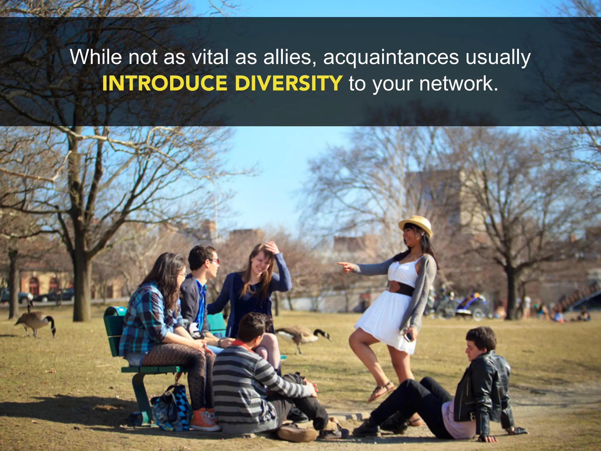 While not as vital as allies, acquaintances usually
  INTRODUCE DIVERSITY to your network.
 