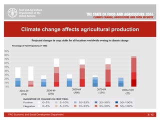 Climate change affects agricultural production
FAO Economic and Social Development Department 3 / 12
0%
10%
20%
30%
40%
50...