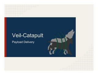 Veil-Catapult
Payload Delivery
 