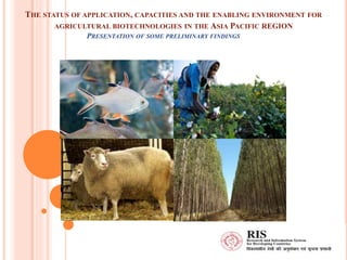 THE STATUS OF APPLICATION, CAPACITIES AND THE ENABLING ENVIRONMENT FOR
AGRICULTURAL BIOTECHNOLOGIES IN THE ASIA PACIFIC REGION
PRESENTATION OF SOME PRELIMINARY FINDINGS
 