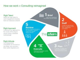 The Stem: Consulting Reimagined