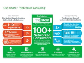 The Stem Consulting Network Model