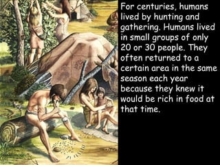  For centuries, humans
lived by hunting and
gathering. Humans lived
in small groups of only
20 or 30 people. They
often returned to a
certain area in the same
season each year
because they knew it
would be rich in food at
that time.
 