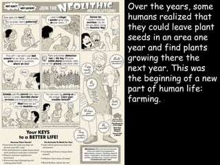  Over the years, some
humans realized that
they could leave plant
seeds in an area one
year and find plants
growing there the
next year. This was
the beginning of a new
part of human life:
farming.
 