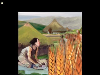  Societies during the Neolithic Era (New Stone Age)
developed agriculture (domesticated plants)
 