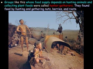  Groups like this whose food supply depends on hunting animals and
collecting plant foods were called hunter-gatherers. They found
food by hunting and gathering nuts, berries, and roots.
 