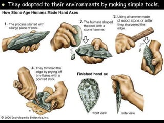  They adapted to their environments by making simple tools.
 