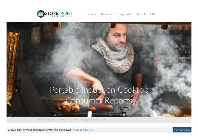 Thestorefrontcompany Com Portable Induction Cooktop Consumer