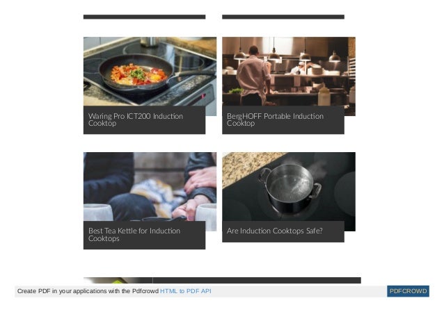 Thestorefrontcompany Com Portable Induction Cooktop Consumer