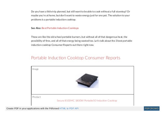 Thestorefrontcompany Com Portable Induction Cooktop Consumer
