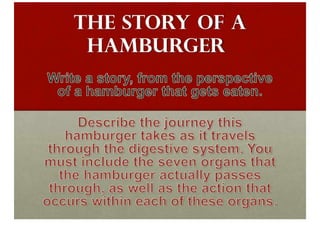The Story Of A Hamburger