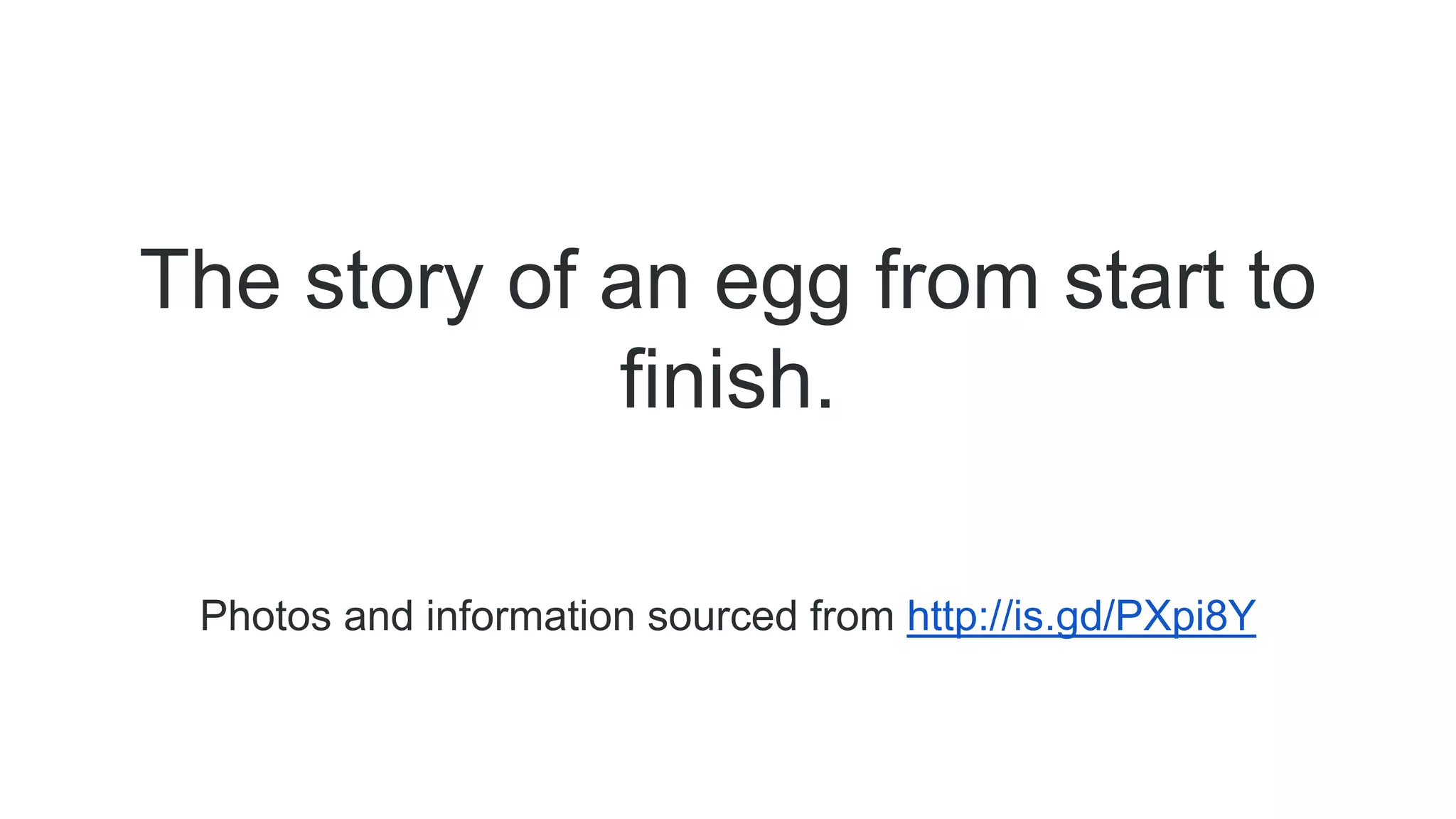 The story of an egg from start to
finish.
Photos and information sourced from http://is.gd/PXpi8Y