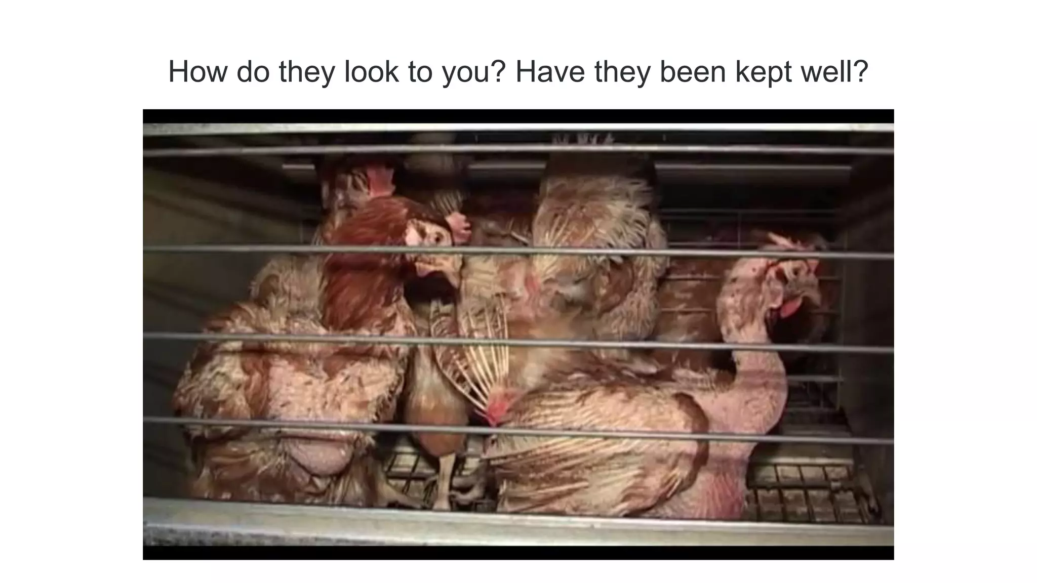 How do they look to you? Have they been kept well?