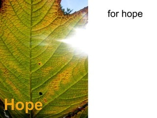 for  hope 