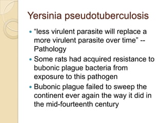 Yersinia pseudotuberculosis
 “less virulent parasite will replace a
  more virulent parasite over time” --
  Pathology
 Some rats had acquired resistance to
  bubonic plague bacteria from
  exposure to this pathogen
 Bubonic plague failed to sweep the
  continent ever again the way it did in
  the mid-fourteenth century
 
