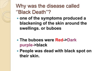 Why was the disease called
„‟Black Death‟‟?
   one of the symptoms produced a
    blackening of the skin around the
    swellings. or buboes

 The buboes were Red->Dark
  purple->black
 People was dead with black spot on
  their skin.
 