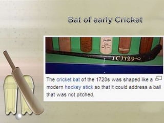 The story of cricket (2)
