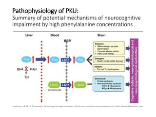 Pathophysiology of PKU:
Summary of potential mechanisms of neurocognitive
impairment by high phenylalanine concentrations
 
