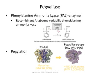 Pegvaliase
• Phenylalanine Ammonia Lyase (PAL) enzyme
• Recombinant Anabaena variabilis phenylalanine
ammonia lyase
• Pegylation
https://www.sciencedirect.com/topics/agricultural-and-biological-sciences/phenylalanine-ammonia-lyase
rAV-PAL
Monomer
(MW 64,000)
Pegvaliase-pqpz
(rAV-PAL–PEG)
~150,000 atoms
(MW 1,200,000)
Longo N et al. Lancet. 2014;384:37-44. Image credit: Peerview.com
 