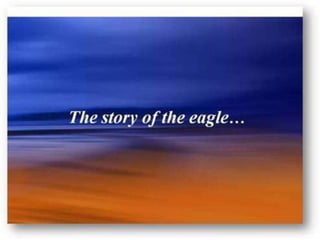 The story of the eagle.