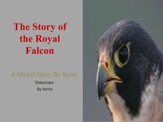 The Story of the Royal Falcon A Moral Story By Rumi Slideshare  By Xenia 