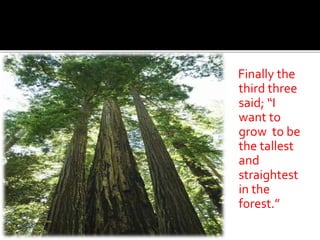 The Story of the Three Trees | PPTX