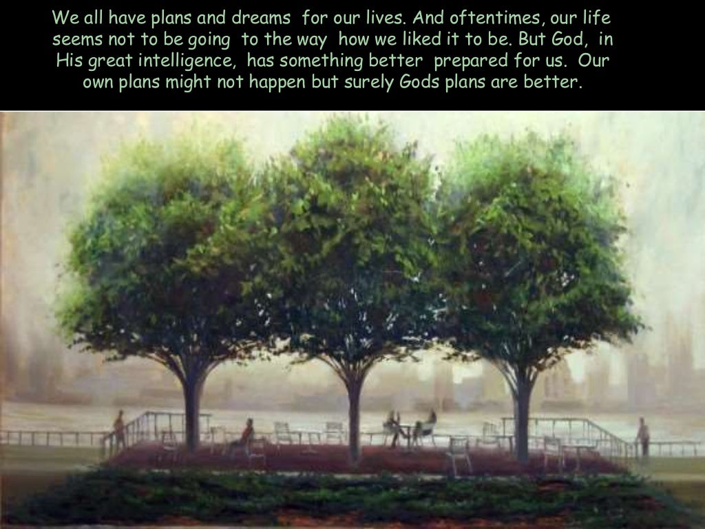 The Story of the Three Trees