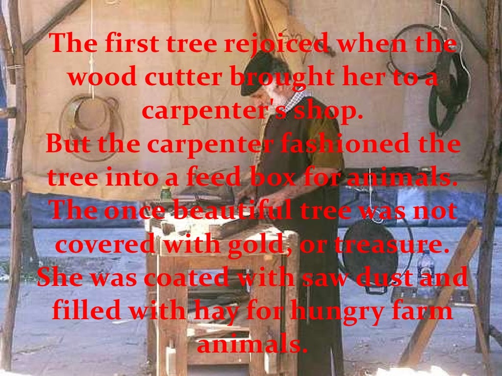 The Story Of Three Trees.