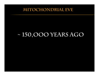Mitochondrial eve
~ 150,ooo years ago
 