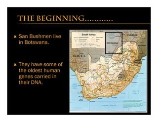 Ò  San Bushmen live
in Botswana.
Ò  They have some of
the oldest human
genes carried in
their DNA.
The beginning…………
 