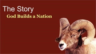 The Story
God Builds a Nation
 