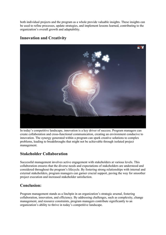 Program Management: 3 Pillars, Benefits, & Challenges | Enterprise ...
