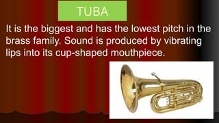 TUBA
It is the biggest and has the lowest pitch in the
brass family. Sound is produced by vibrating
lips into its cup-shaped mouthpiece.
 