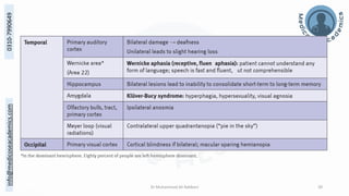 The Structural and Functional Localization of Cerebral Cortex | PDF